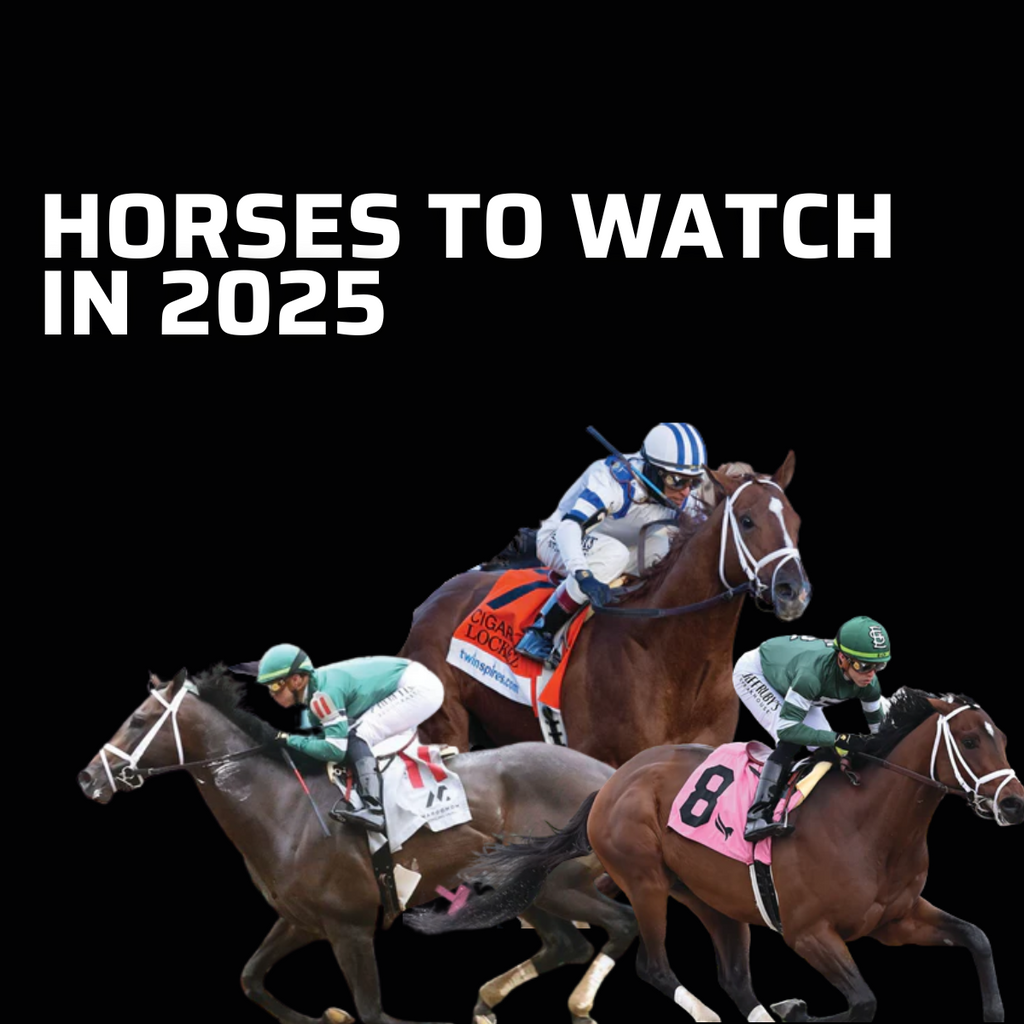 FOUR HORSES TO WATCH IN 2025